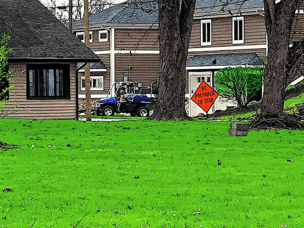 Dog waiting to go for a ride