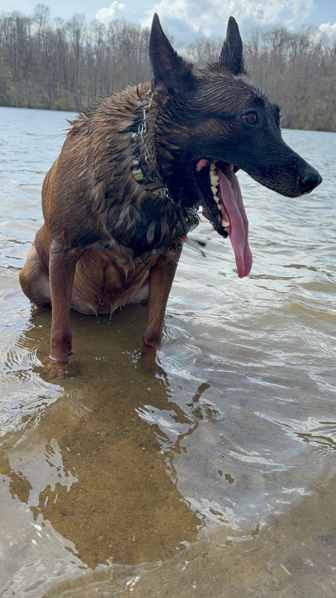 Barkcamp State Park: Dog Approved