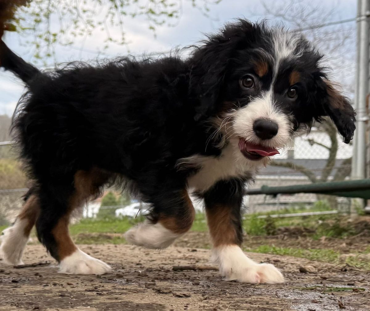 I Lost Control a Long Time Ago