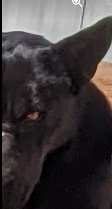 No Surface, Only Depth