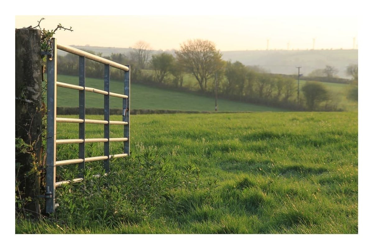 A Serene Path: Embracing a Relaxed Approach to Homesteading