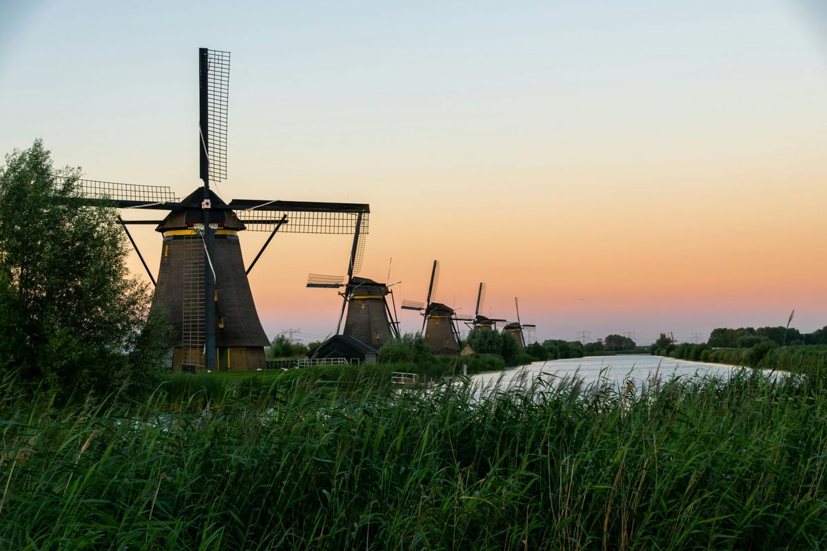 Europe’s Beacon of Sustainable Farming: Lessons from the Netherlands