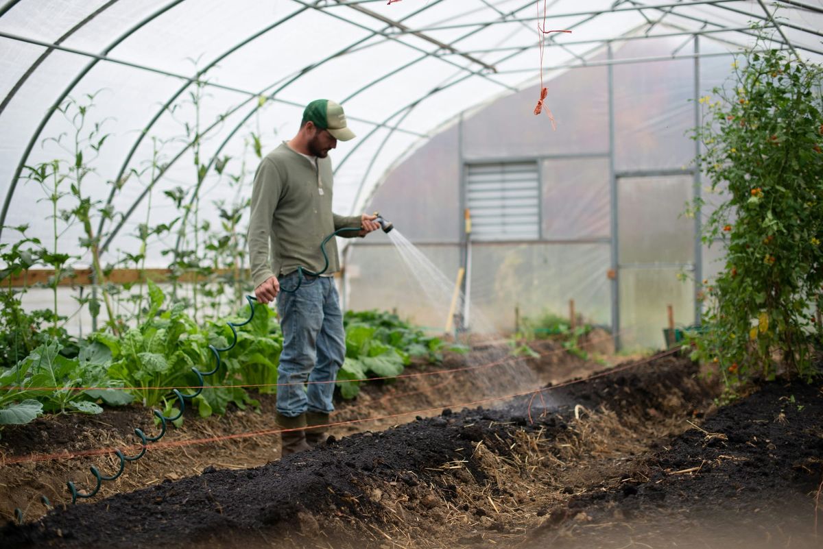 Extending the Growing Season: Harnessing the Power of Polytunnels