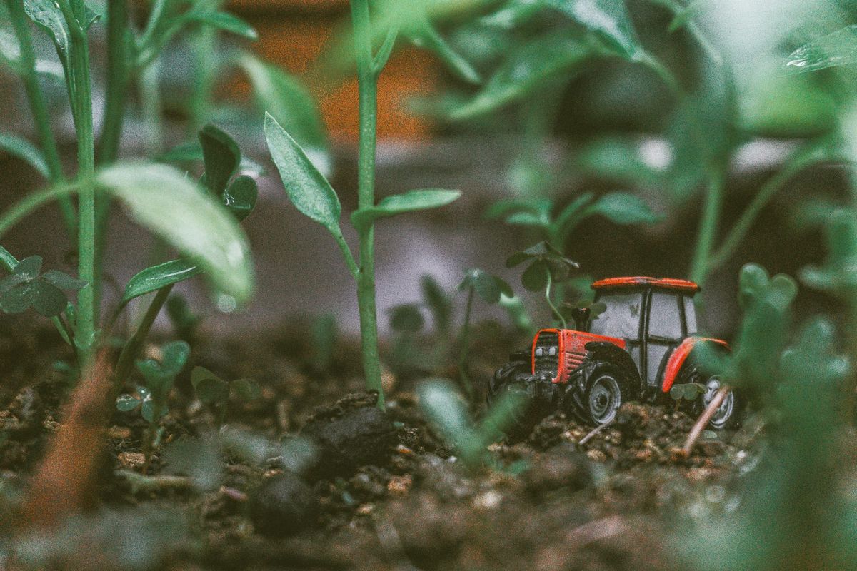 The Quiet Power of Regenerative Farming: Restoring Soil, Landscapes and Livelihoods