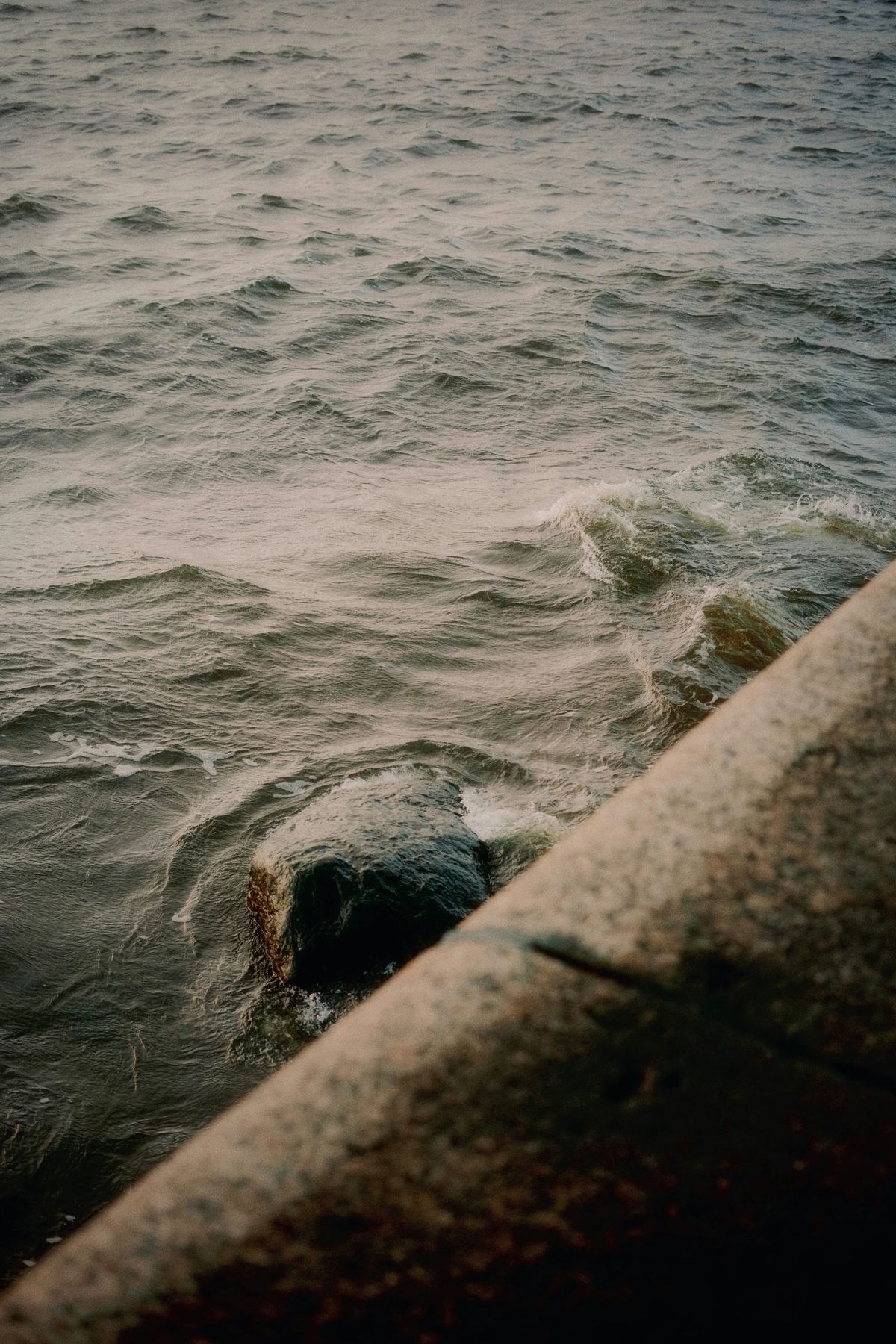 Lifestyle and Philosophy