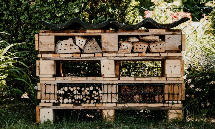 Bug Hotels for Biodiversity: Three DIY Insect Homes for Your Homestead