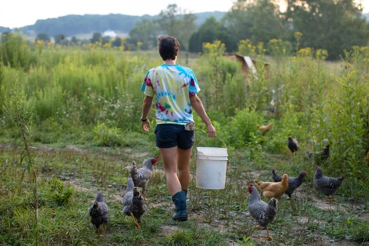 Homesteading as Resistance: Reclaiming Autonomy in a Fast-Paced World