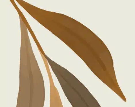 Welcoming Alma Oasis: A Deep‑Dive Q&A With Our New Content Partner