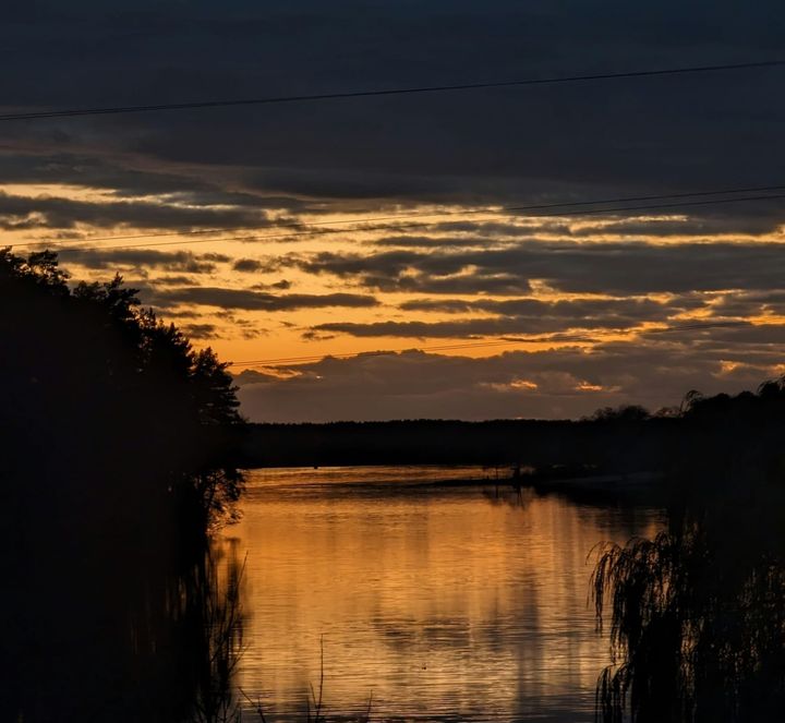 Rooted in Responsibility: How Homesteaders Help Restore Biodiversity and Support Europe’s Food Web