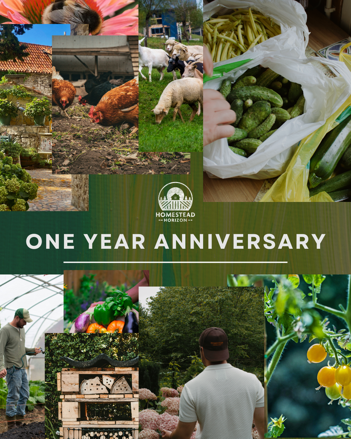 One Year of Homestead Horizon: A Special Edition