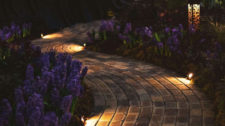 Night Life on the Land: The Hidden System That Keeps a Landscape Working