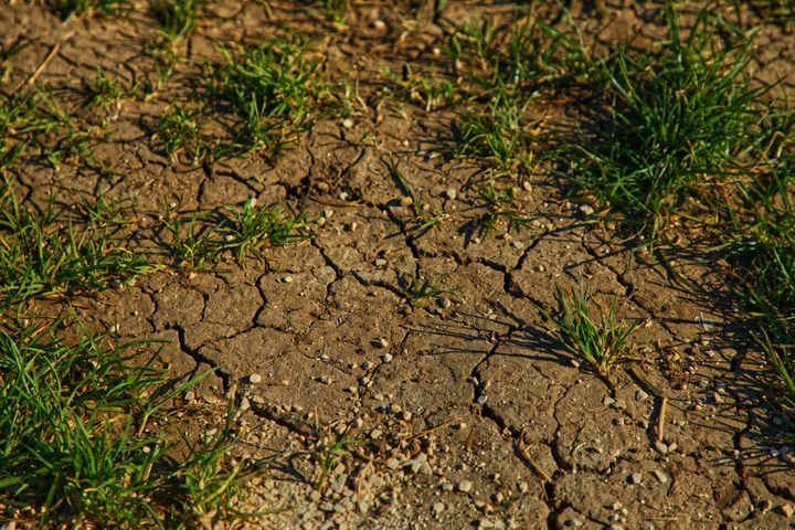 Looking Back: What a Dry Summer Has Taught Us About the Land