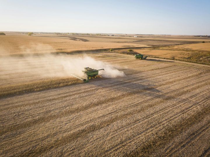 The Future of the Harvest: What Comes Next for Food, Farming and Self Sufficiency?