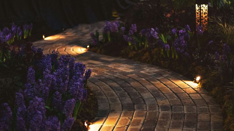 Night Life on the Land: The Hidden System That Keeps a Landscape Working