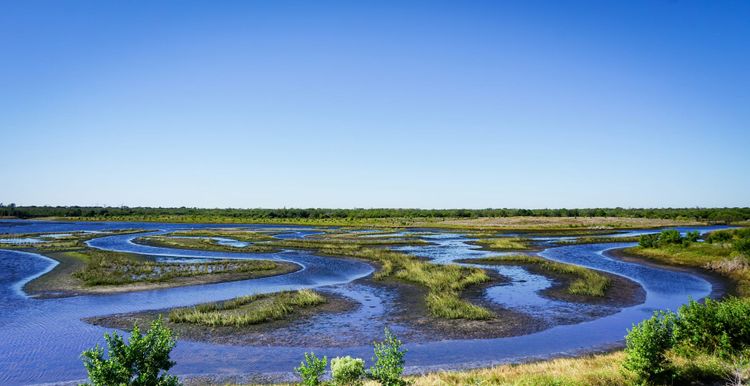 When Development Makes Space for Nature: Three Projects Helping to Give Wildlife a Future