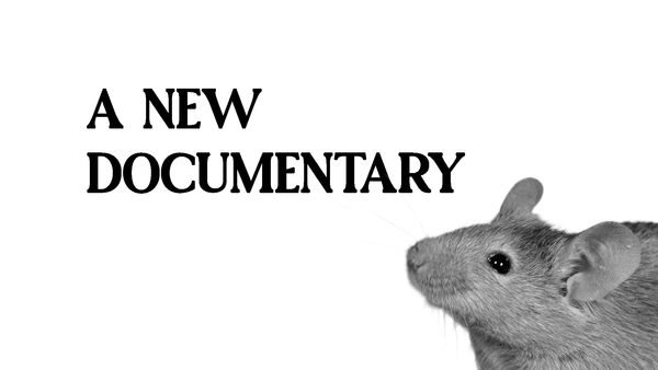 3. A New Documentary