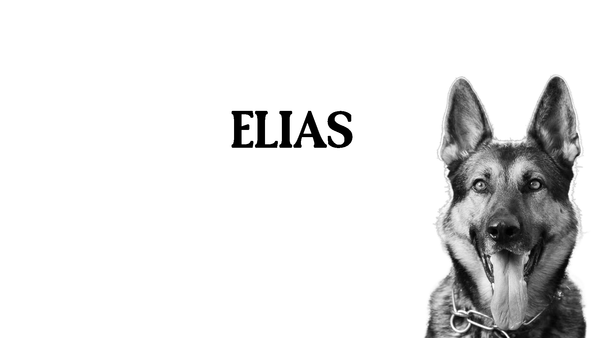 32. Elias