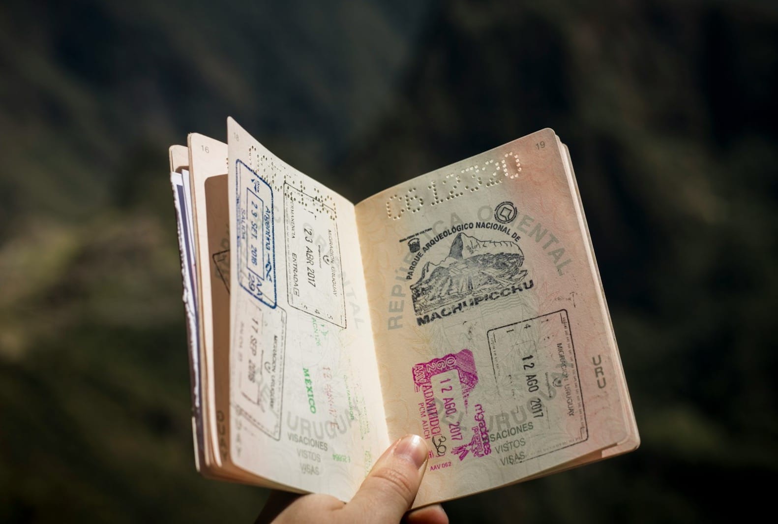 person holding passport