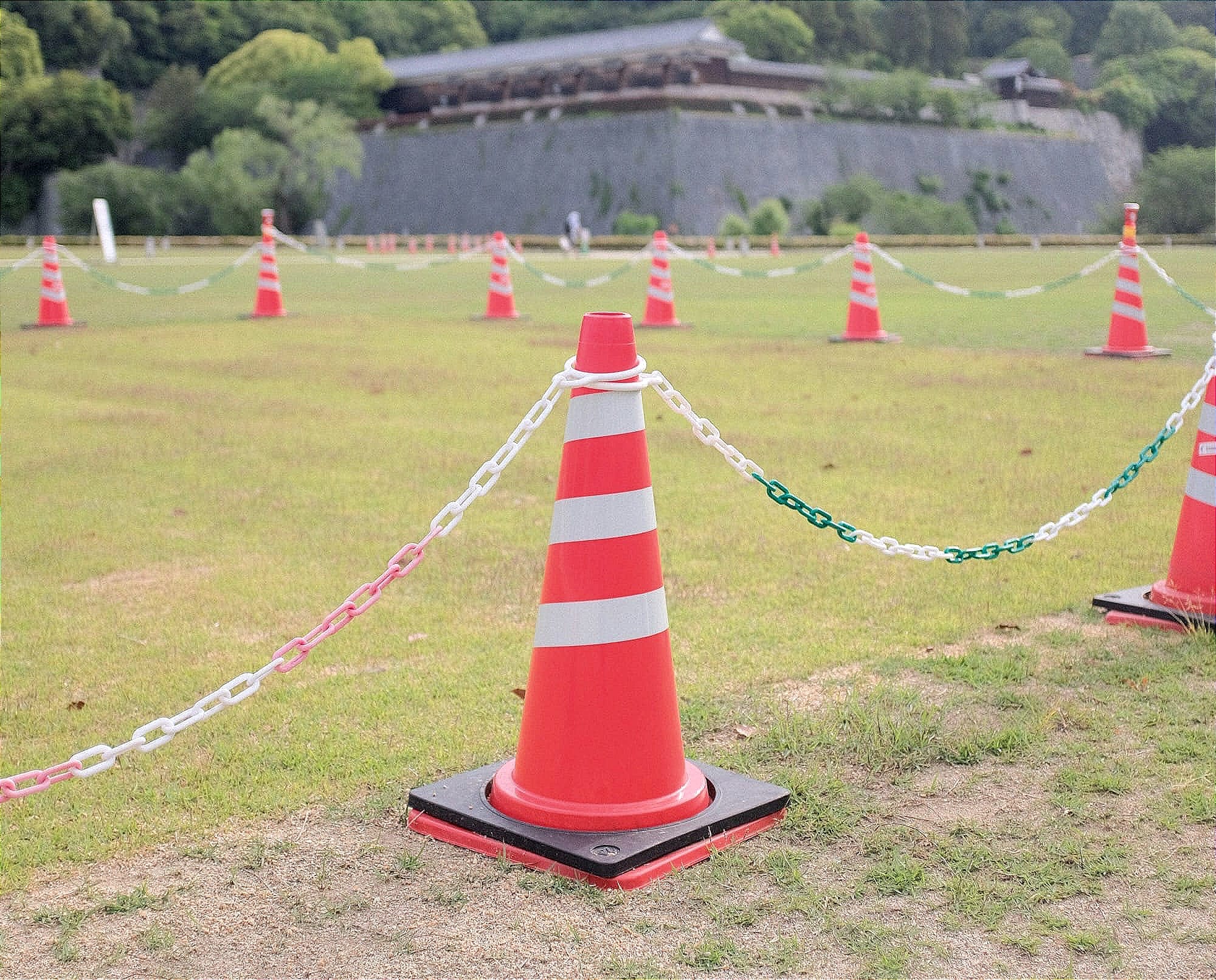 red and white striped traffic cone on green grass field during daytime
