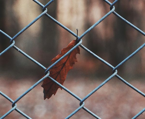 What is Power? Part 3: Powerlessness