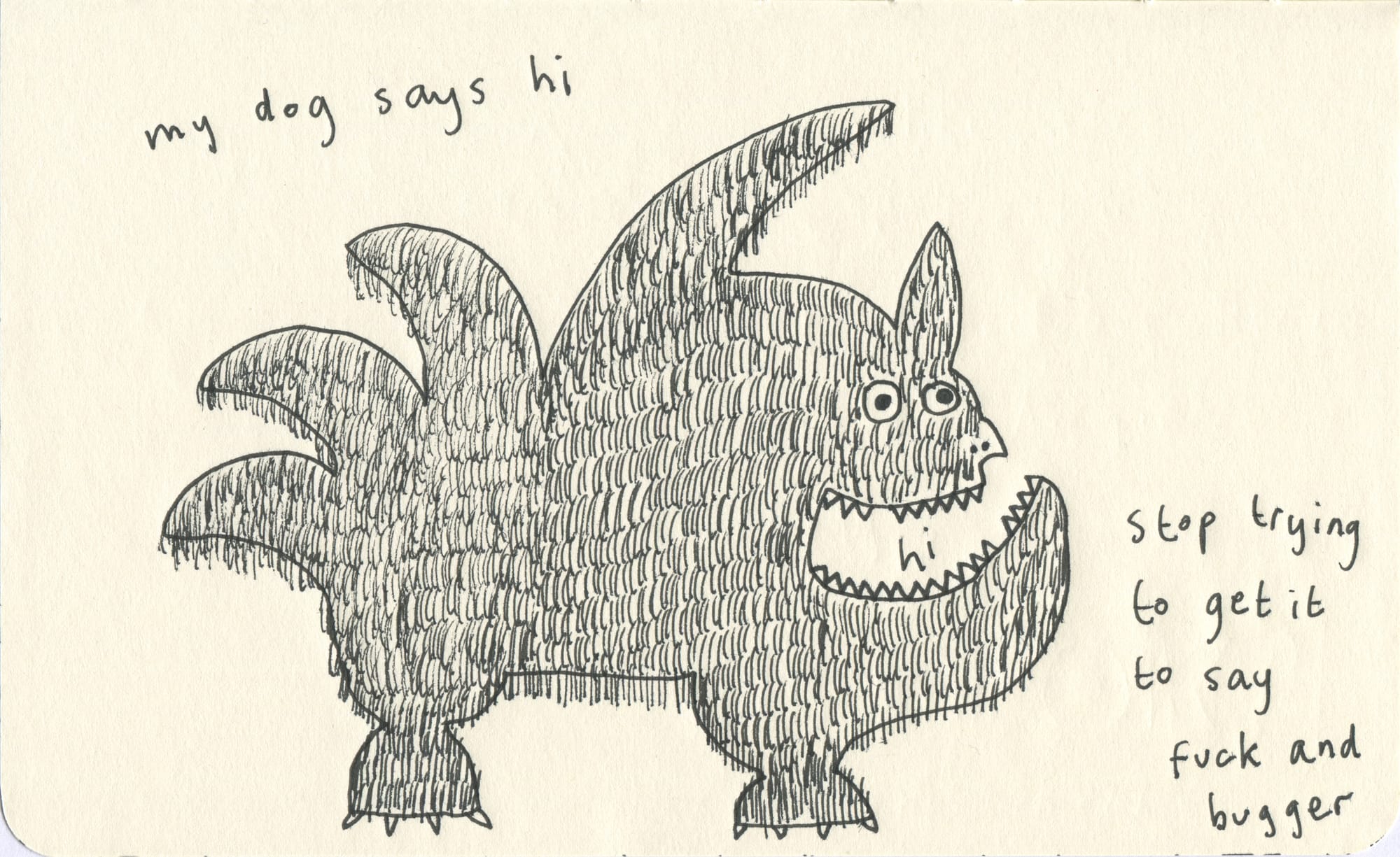 hairy dog that looks like a tropical pot plant and has happy eyes and smile says 'hi'. Alongside is written 'stop trying to get it to say fuck and bugger'