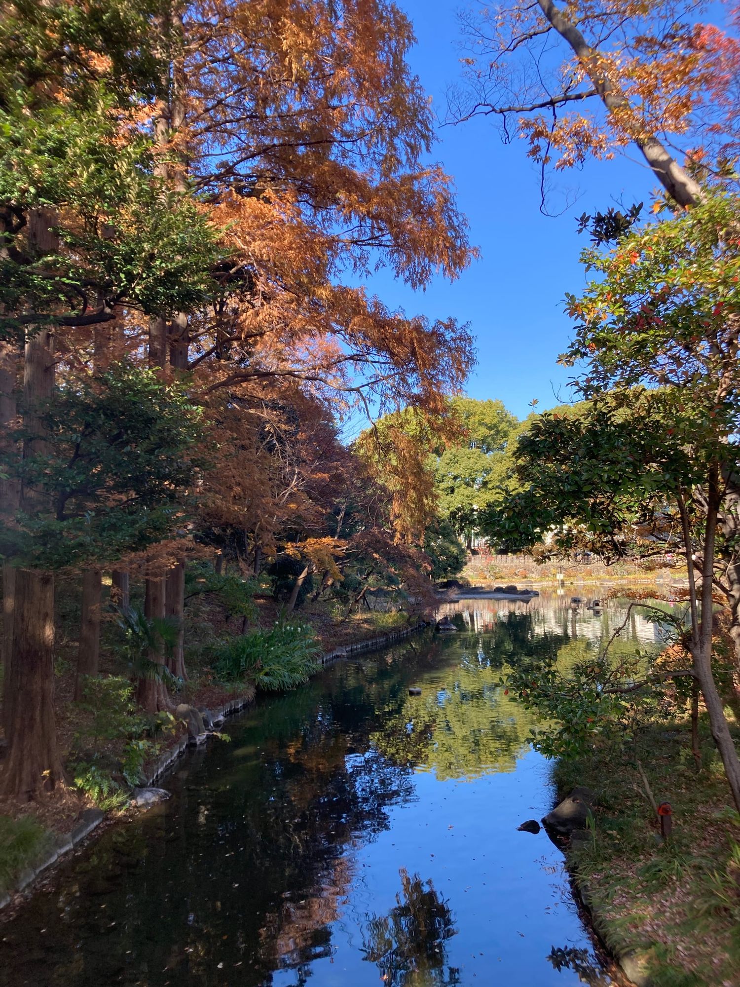 Tokyo bike explorer n°4