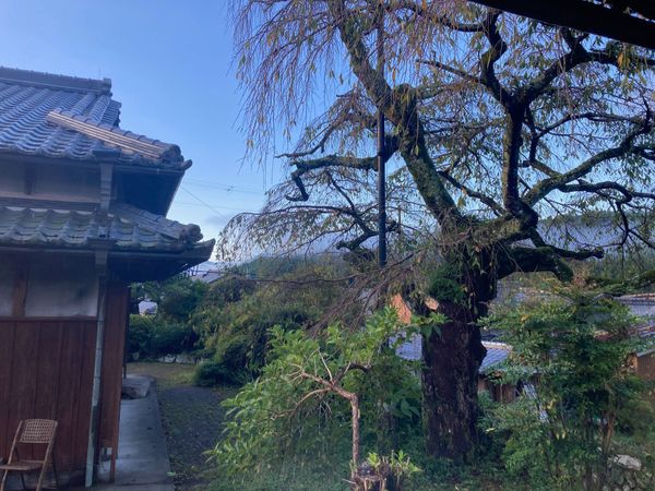 Immersion dans une maison d'hôtes sur un chemin de pélerinage au Japon