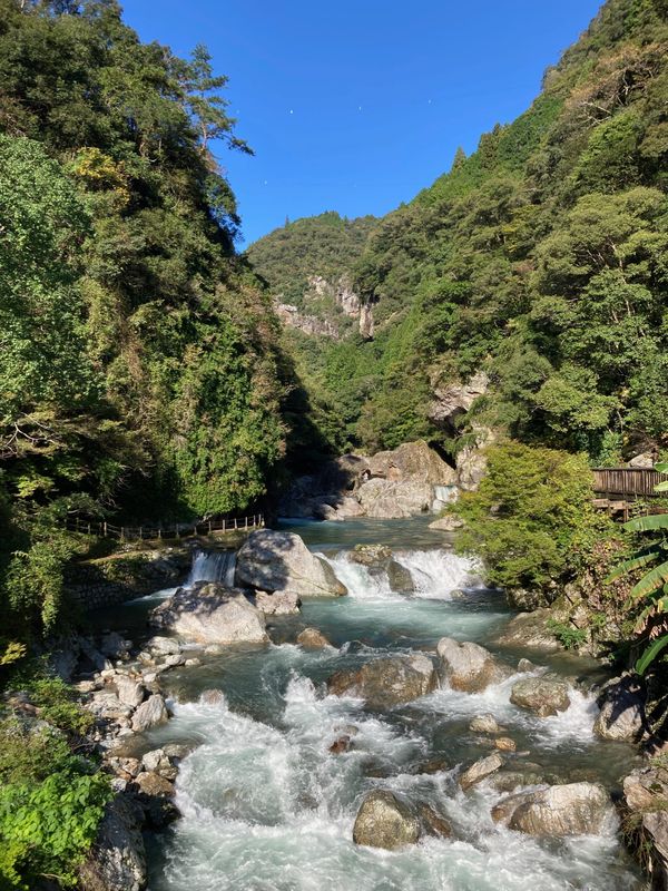 Un tour qui vaut le détour - Shikoku