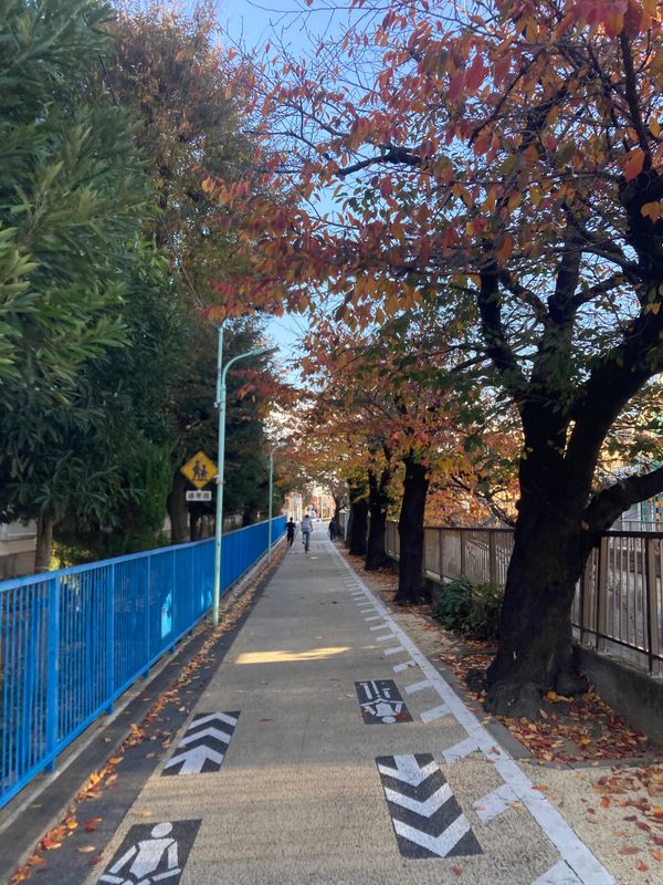 Tokyo bike explorer n°3