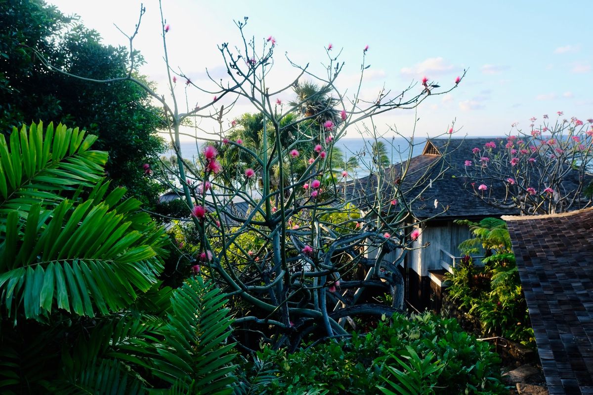 Notes: 40 for 40  - Walking 40 Miles Across Honolulu