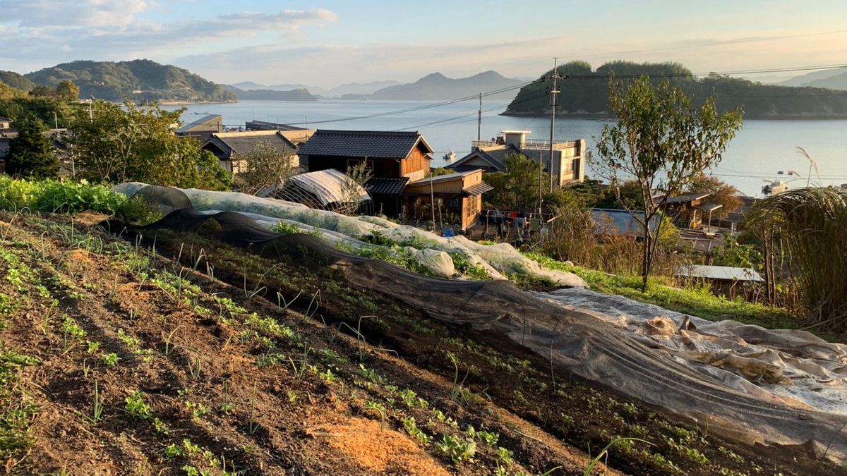 Interview: Thomas Kloepfer of Pitchfork Farms