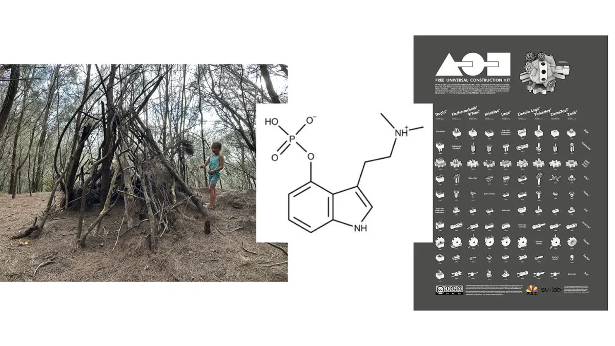 Notes: Wilderness as a State of Mind