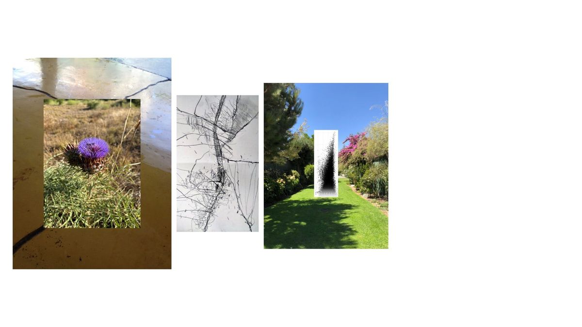 Flash: Practice Shots