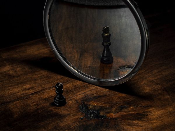 MBTI: Feelers (F) & Thinkers (T)