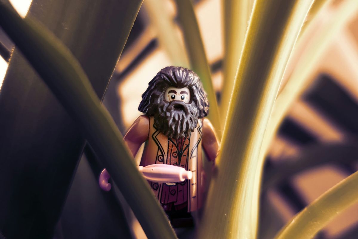 8 Saniyelik Reels’e Sıkışmış 8000 Yıllık Tufan