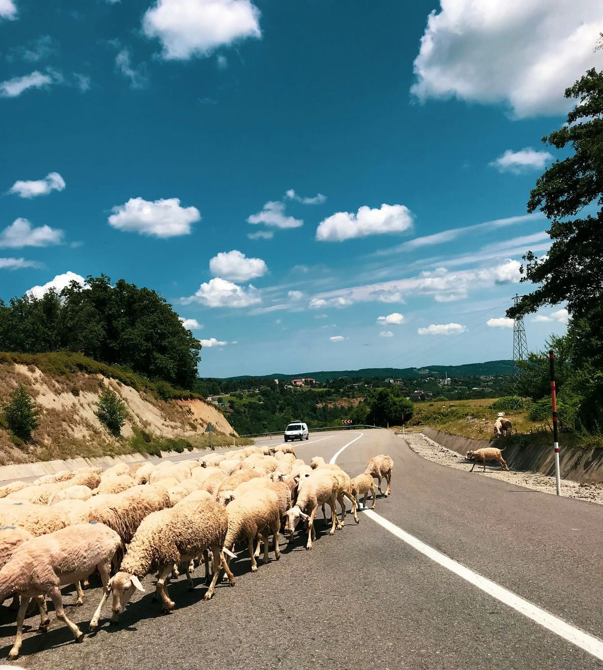 Ortadoğu’nun Komşu Çocuğu: Türkiye’nin Bitmeyen Deneyleri