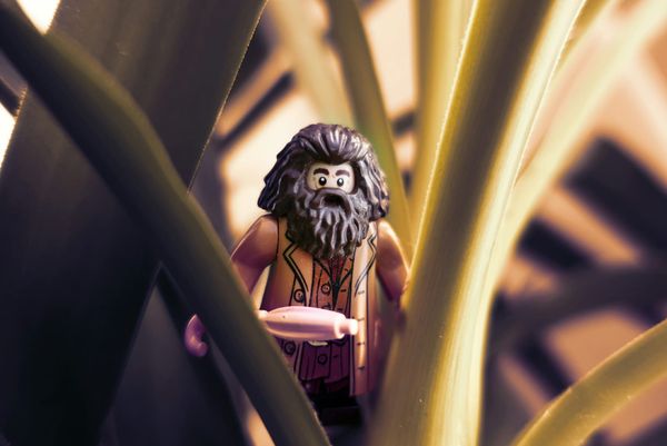 8 Saniyelik Reels’e Sıkışmış 8000 Yıllık Tufan