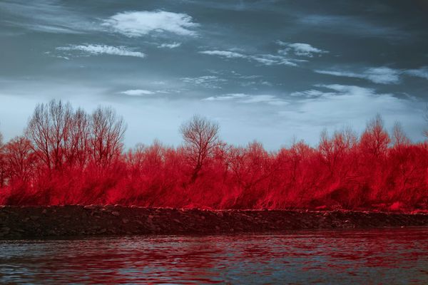 Tanrı Tarihi #1 - Kırmızı Cenazeler