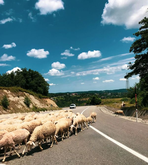 Ortadoğu’nun Komşu Çocuğu: Türkiye’nin Bitmeyen Deneyleri