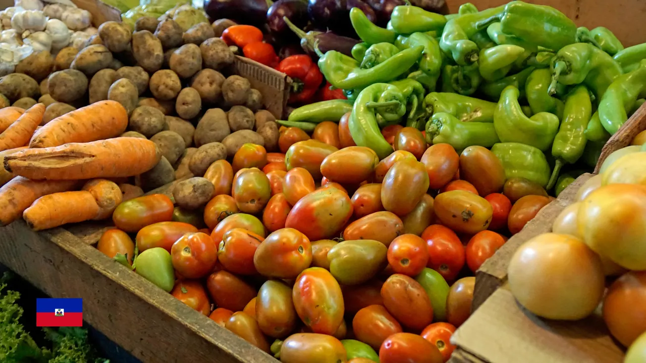 Évaluation de la souveraineté alimentaire à Massabielle : résultats d'une enquête de terrain