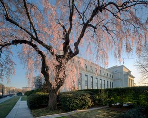 The Fed Finally Makes Its Move