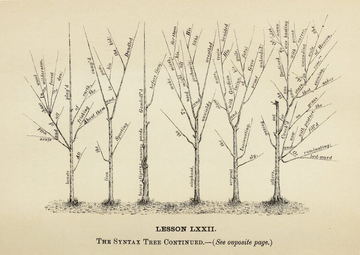 Illustration showing a "Syntax Tree", from "American Grammar: Diagraming Sentences in the 19th Century" (Image sourced from the Public Domain Image Archive / Library of Congress)