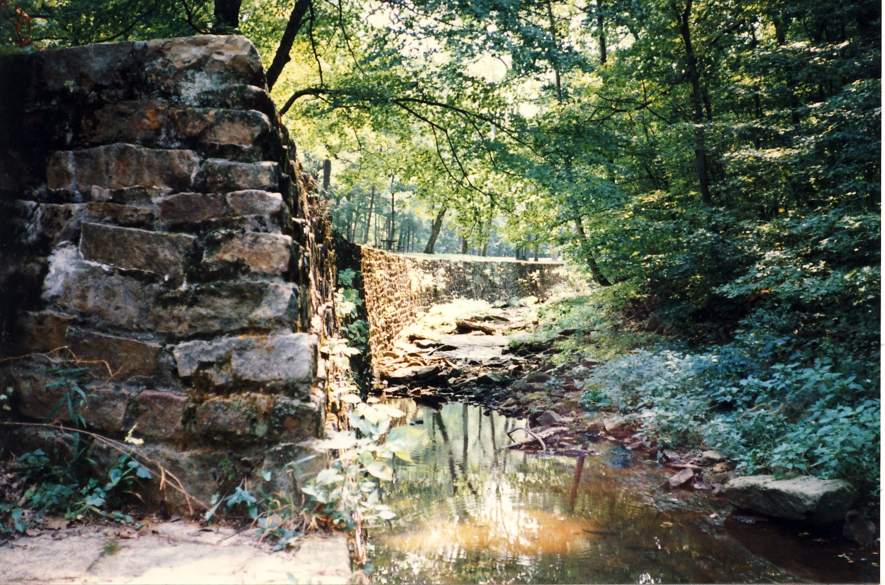 Sandstone bluffs at Giant City State Park in the Shawnee National Forest, on the American Discovery Trail in southern Illinois