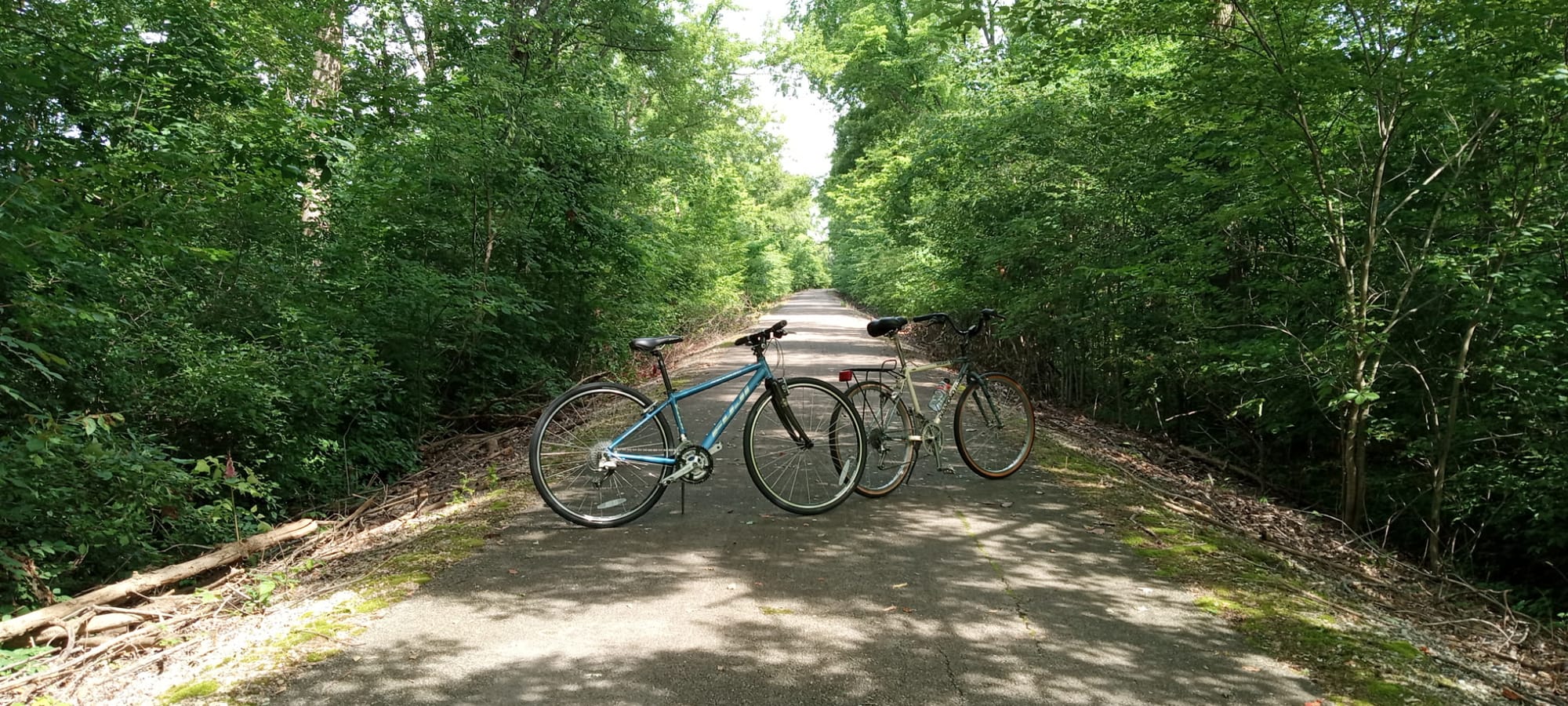 The paved Cardinal Greenway rail-trail running straight through green Indiana farm country