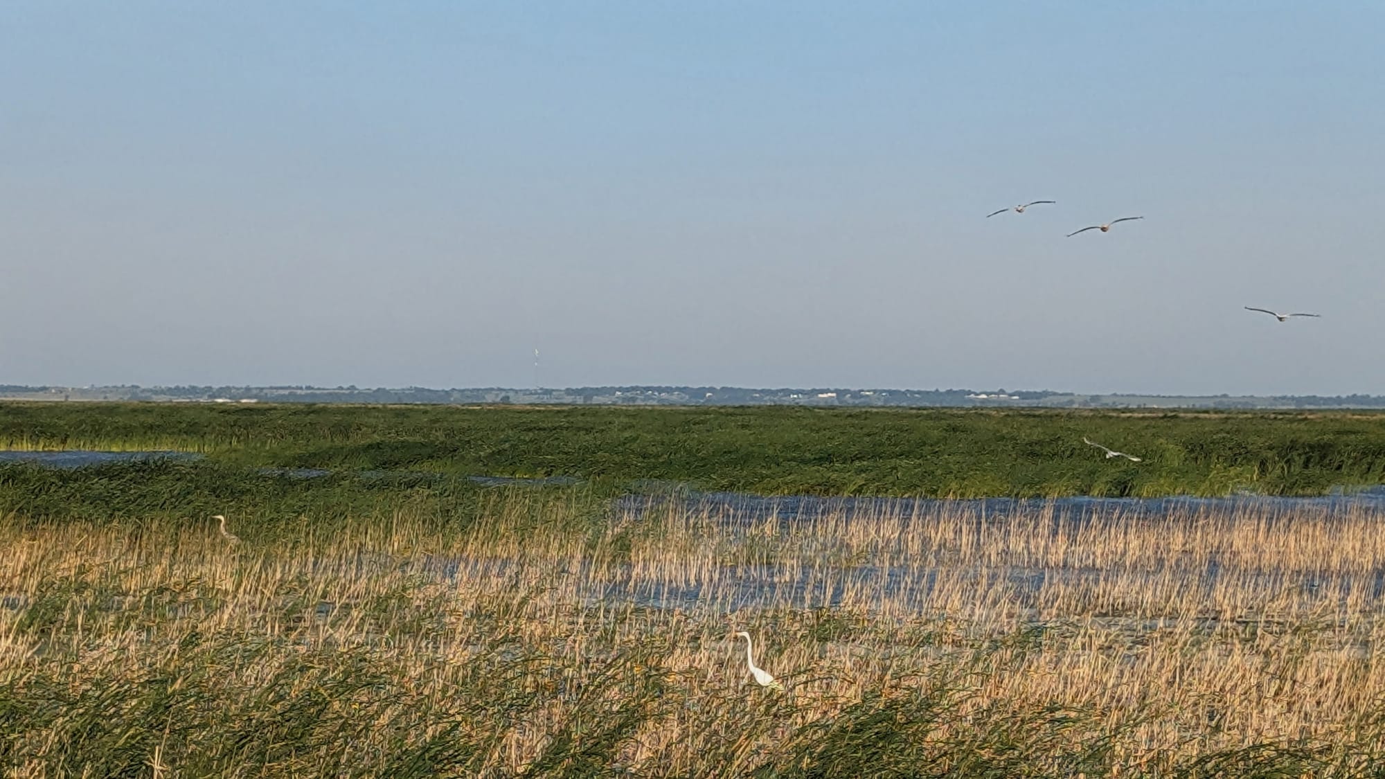 Cheyenne Bottoms Wildlife Area near Great Bend, the largest inland marsh in the United States, on the American Discovery Trail in Kansas