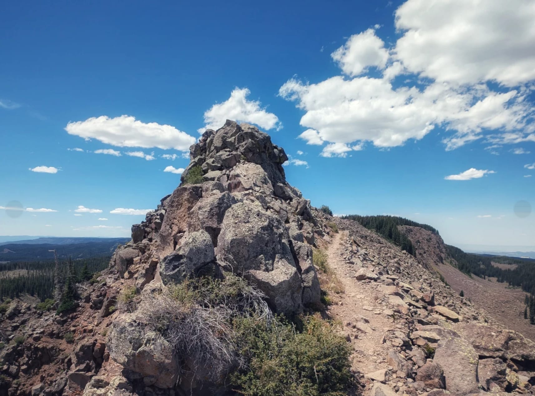 The Crag Crest Trail along the narrow spine of Grand Mesa in western Colorado, on the American Discovery Trail