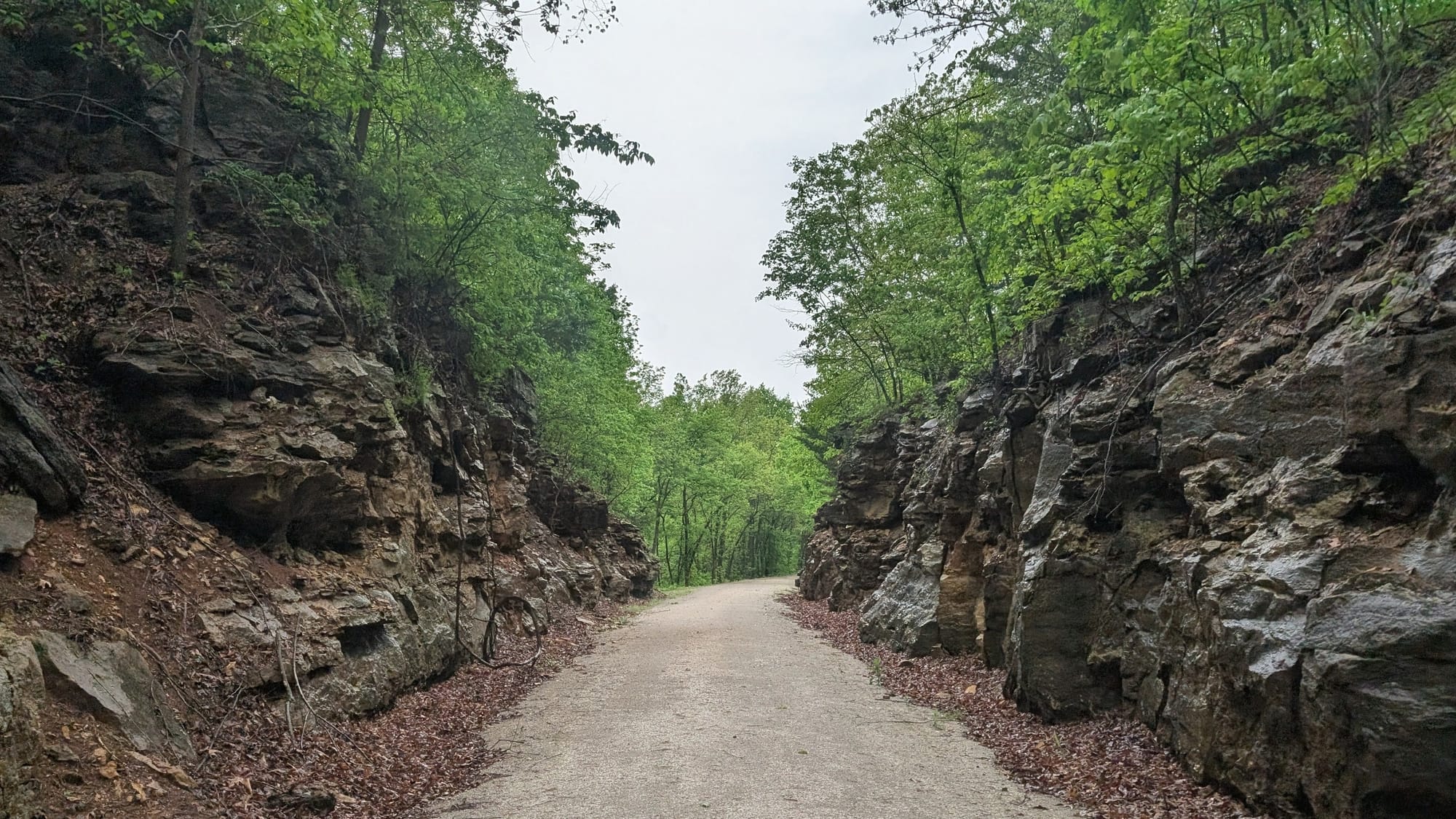 Limestone bluffs rising above the Katy Trail in central Missouri, on the American Discovery Trail