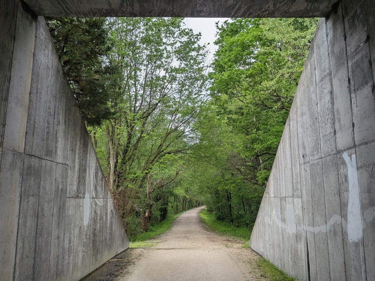 Tree canopy closing over the crushed limestone surface of the Katy Trail in central Missouri, on the American Discovery Trail