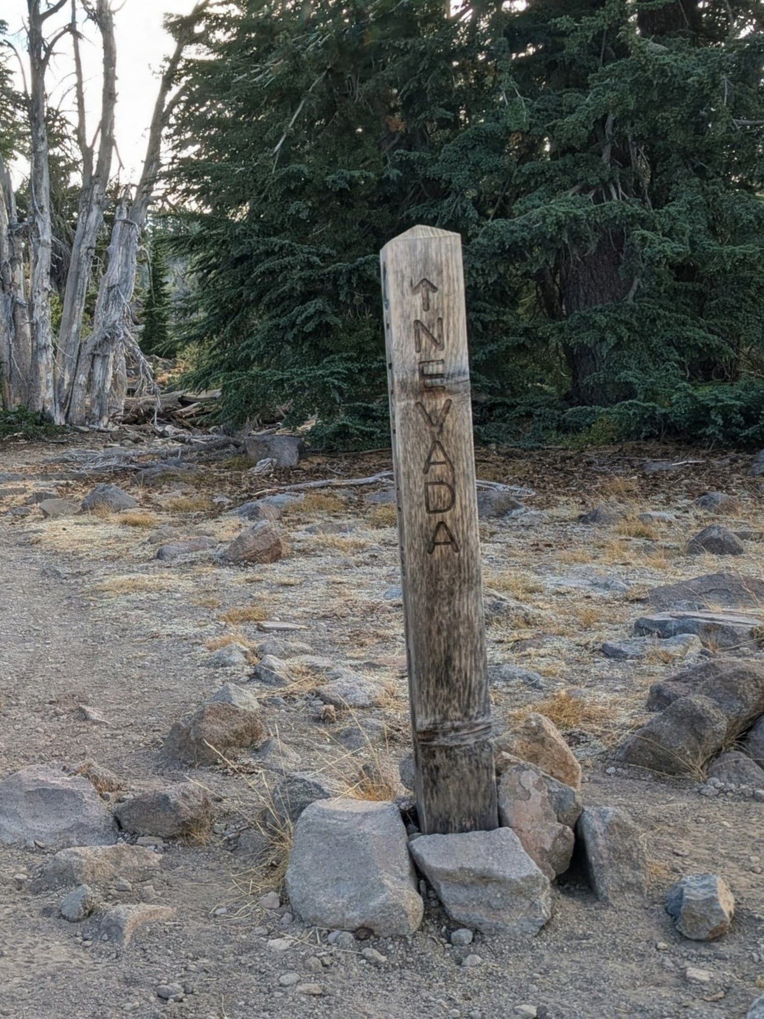 Weathered wooden post carved with the word Nevada, set in a ring of rocks on bare, stony ground beside a stand of firs.