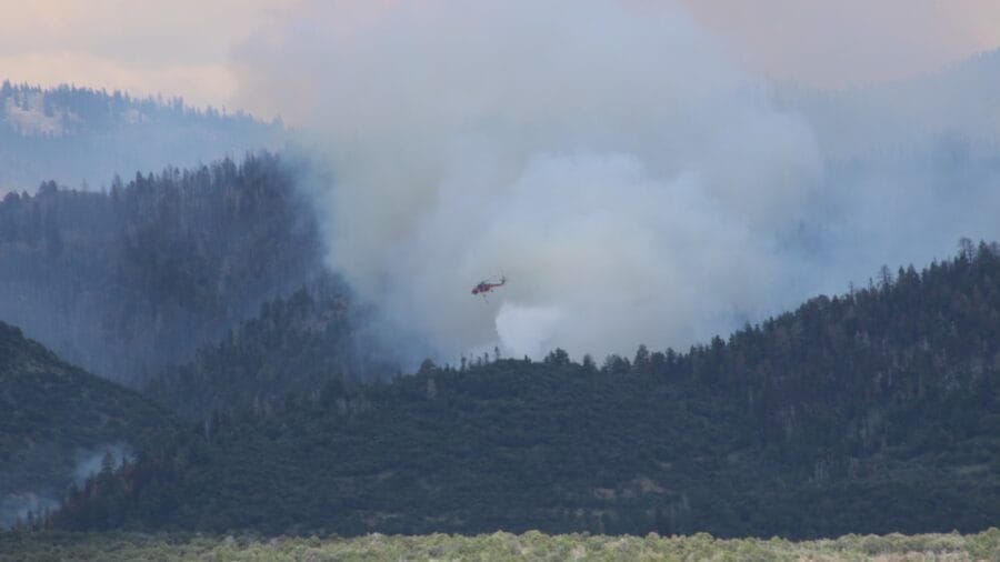 Trail Reports: Wildfire Detour Success, Illinois Trail Findings, and Bernie's Back!